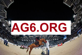 英超第27轮布伦特福德vs布莱顿全场比赛录像回放2026年2月22日